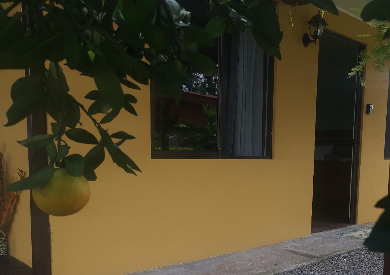 Dreamcatcher House Sarchi Ngoại thất bức ảnh