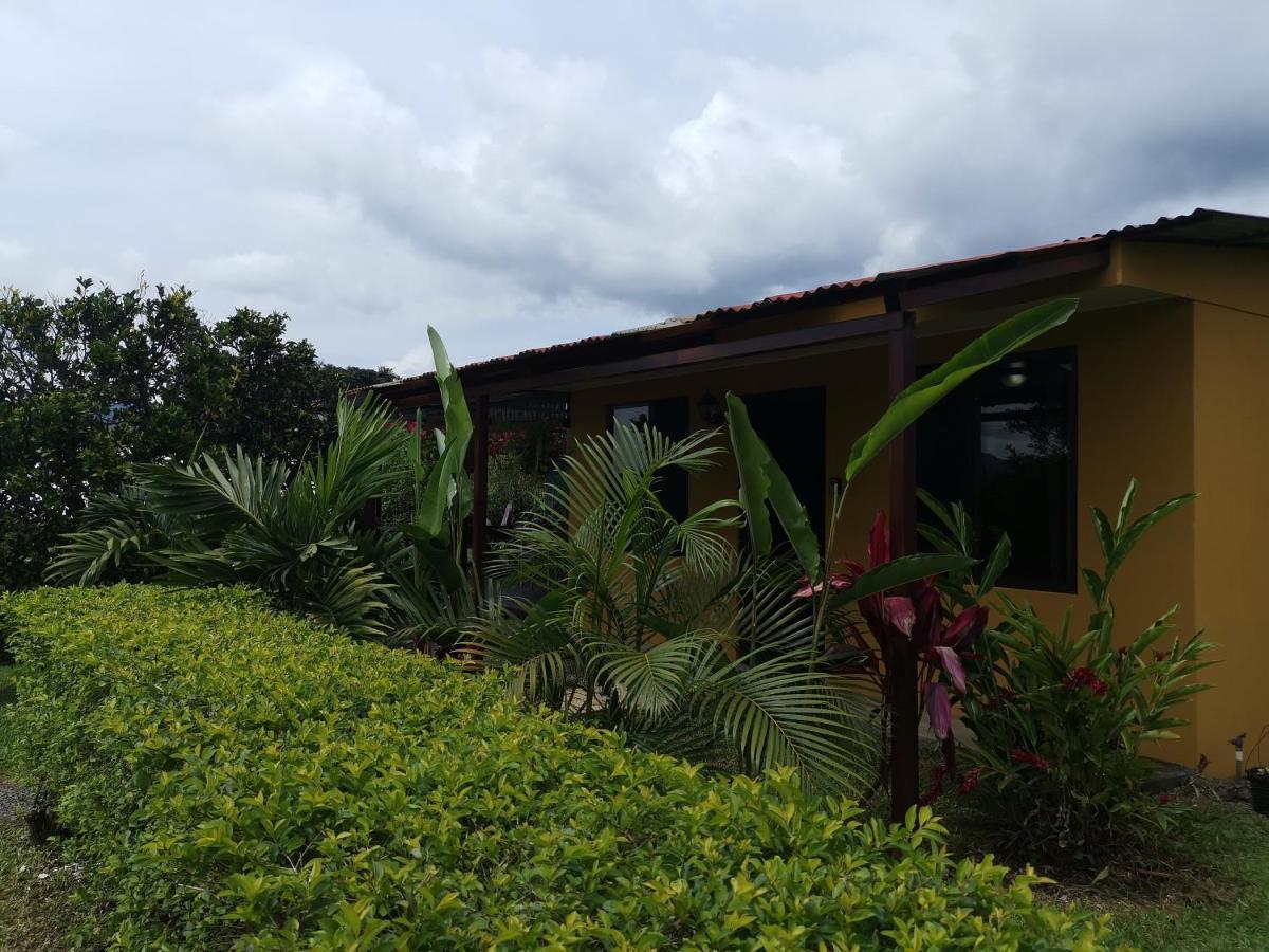 Dreamcatcher House Sarchi Ngoại thất bức ảnh